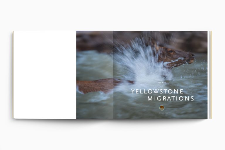 yellowstone-768x512