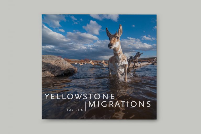 yellowstone-cover-768x512